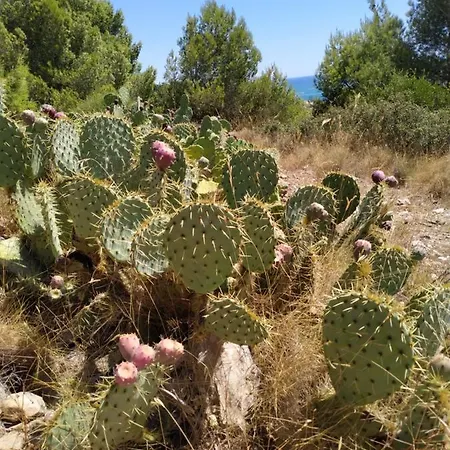 Les Salins A Proche Plages Sete