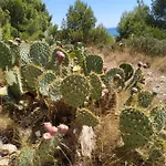 Les Salins A Proche Plages Sète